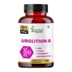 Humming Herbs Urolithin A Complex – 250 mg Urolithin A with CoQ10, PQQ, Resveratrol & Vitamin D3 – 5in1 Mitochondrial & Cellular Energy Support – Vegan, Non-GMO – 60 Capsules