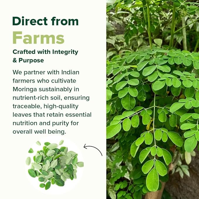 VAHDAM Moringa Capsules | Energy, Immunity & Daily Nutrition | Dual-Spectrum: Whole Herb + 50% Saponin Extract | 60 Veg Capsules | Superfood Supplement - Image 4