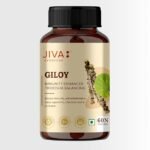 Jiva Giloy - 60 * 1 Capsule for Digestion | 100% Pure & Natural | Ageing and Immunity Boost | Herbal Supplements | Rich In Antioxidants