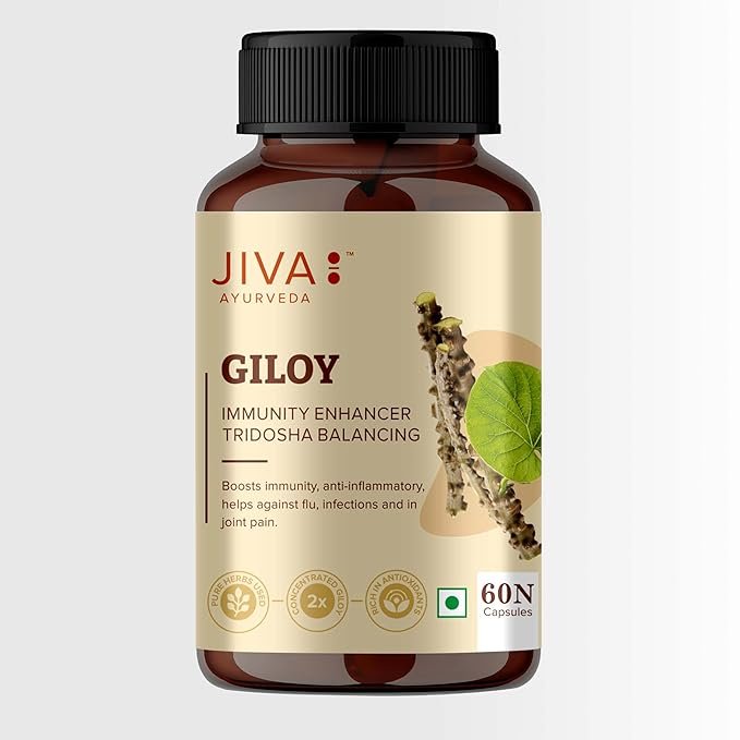 Jiva Giloy - 60 * 1 Capsule for Digestion | 100% Pure & Natural | Ageing and Immunity Boost | Herbal Supplements | Rich In Antioxidants