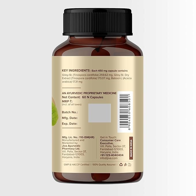 Jiva Giloy - 60 * 1 Capsule for Digestion | 100% Pure & Natural | Ageing and Immunity Boost | Herbal Supplements | Rich In Antioxidants - Image 2