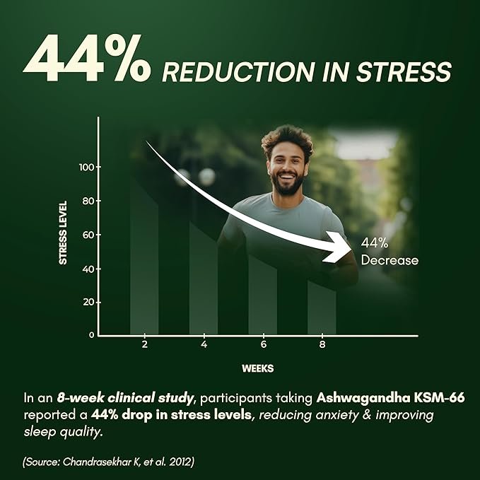 Rasayanam Ashwagandha KSM-66® | Clinically Proven 600mg Dosage | 5.1% Withanolides for Max Results | 100% Pure Root Extract | Stress Relief, Energy & Recovery Support | World’s Strongest Ashwagandha | 60 Capsules - Image 4