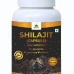 Rudrakash Shilajit Capsules (60 Capsules)